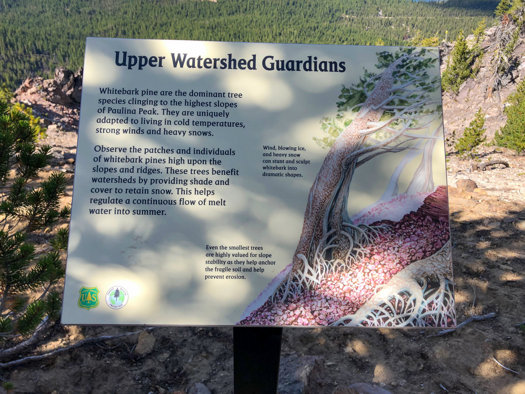 Informational signs along Paulina Peak Trail Watershed Guardians