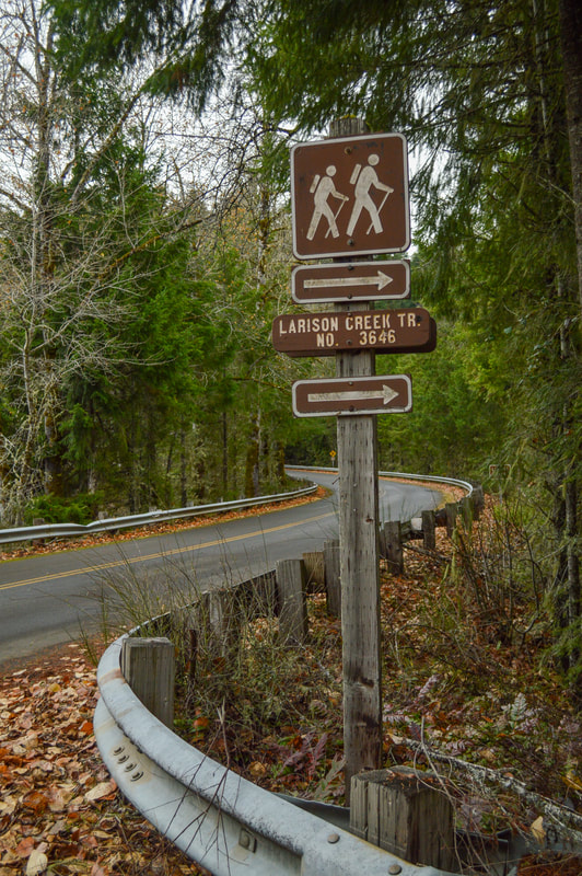 Larison Creek Trail sign