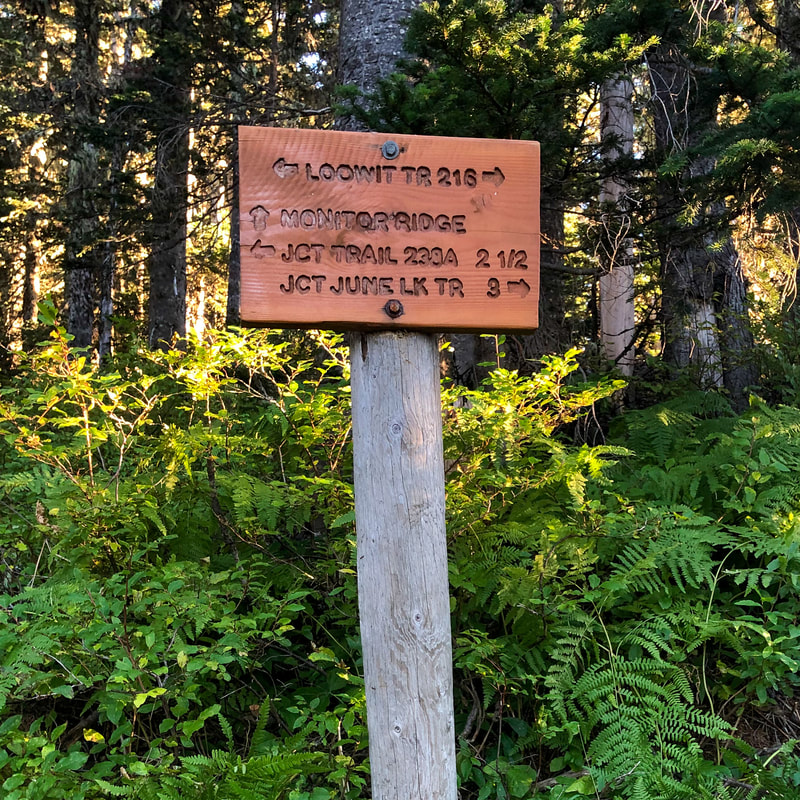 Loowit Trail sign