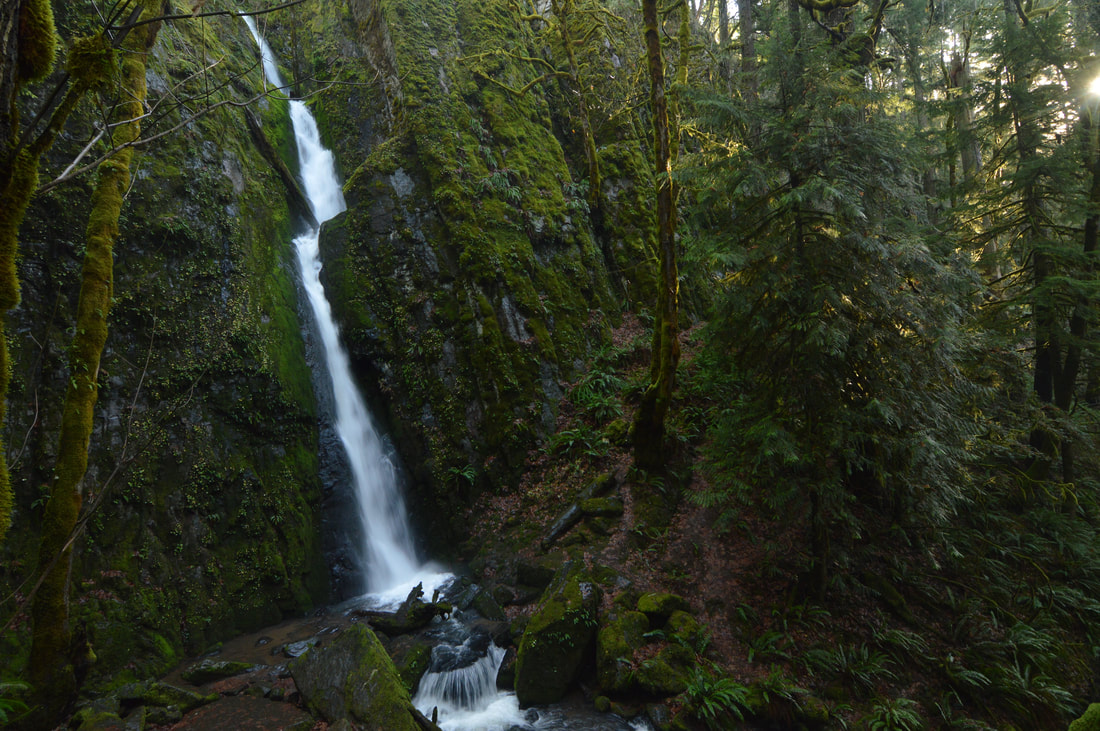 Lower Soda Creek Falls best waterfall hikes in Oregon