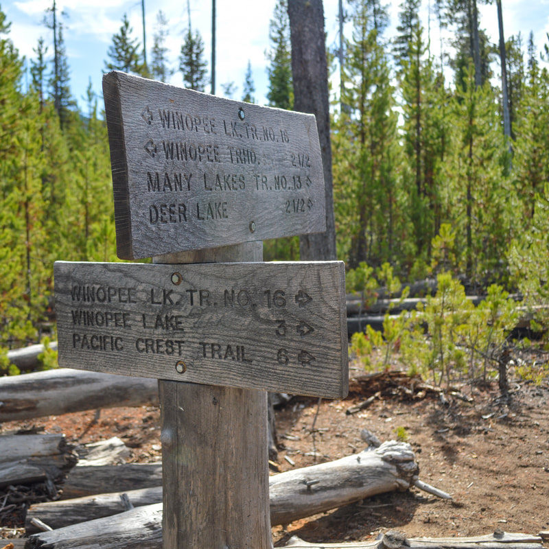 Many Lakes trail sign along the Winopee Lake Trail