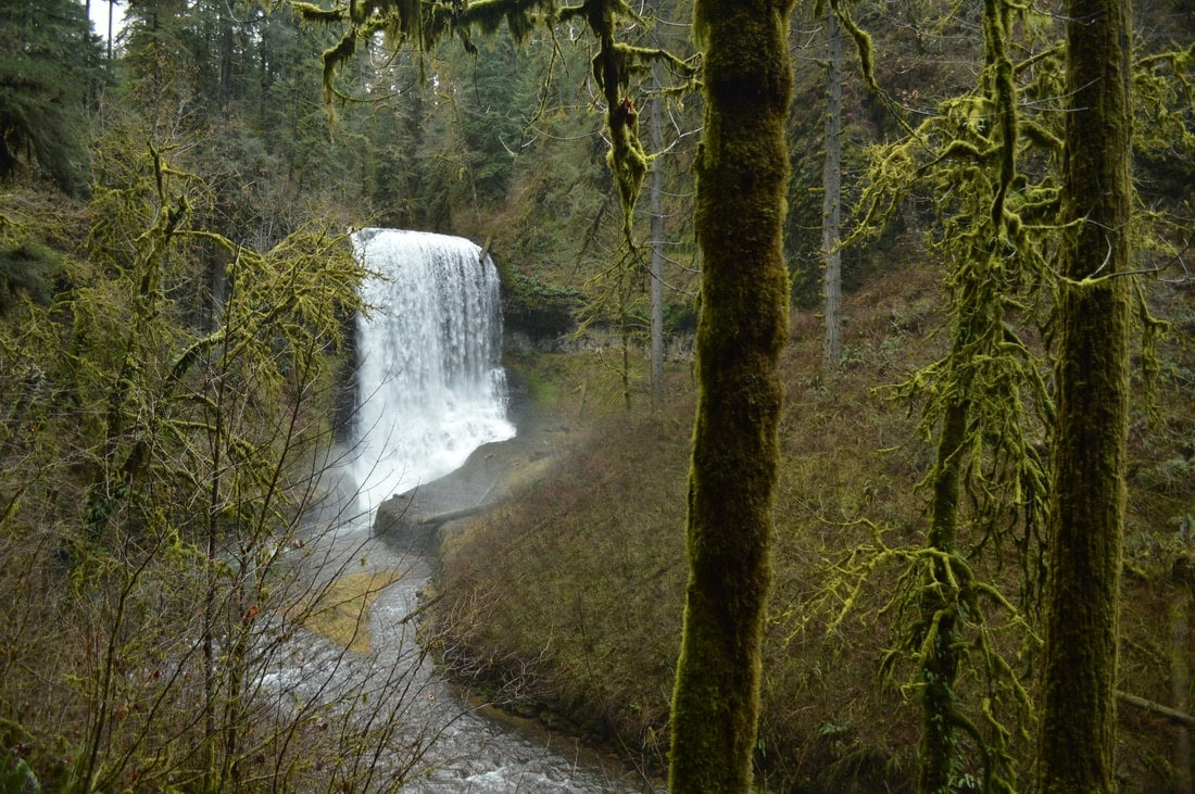 Middle North Falls Silver Falls State Park best waterfall hike in Oregon