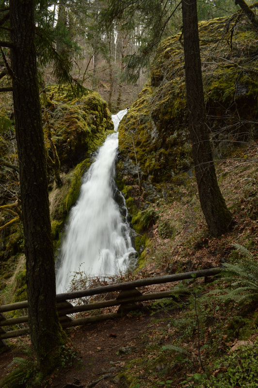 Middle tier of Fall Creek Falls