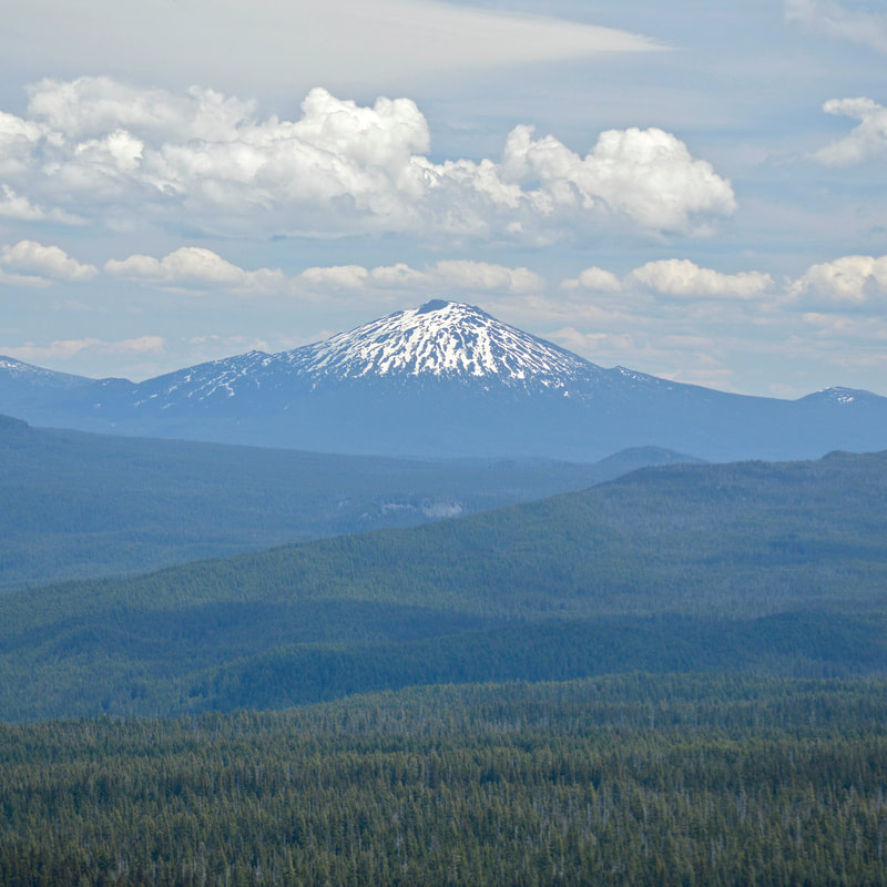 Mt. Bachelor from the Olallie Mountain summit
