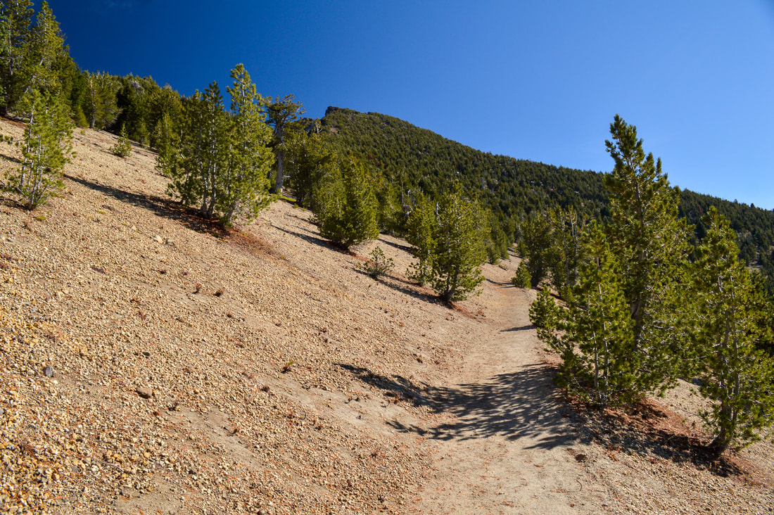 Mount Scott Trail