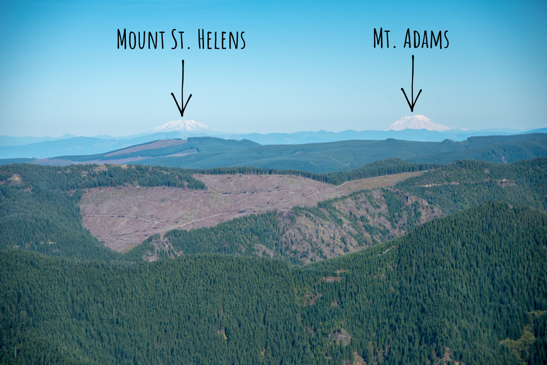 Mount St. Helens and Mt. Adams from Table Rock