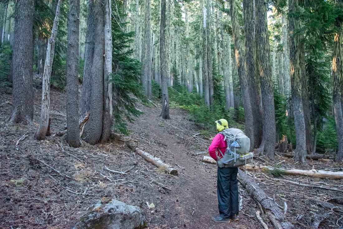 Mount Yoran Trail to Divide Lake