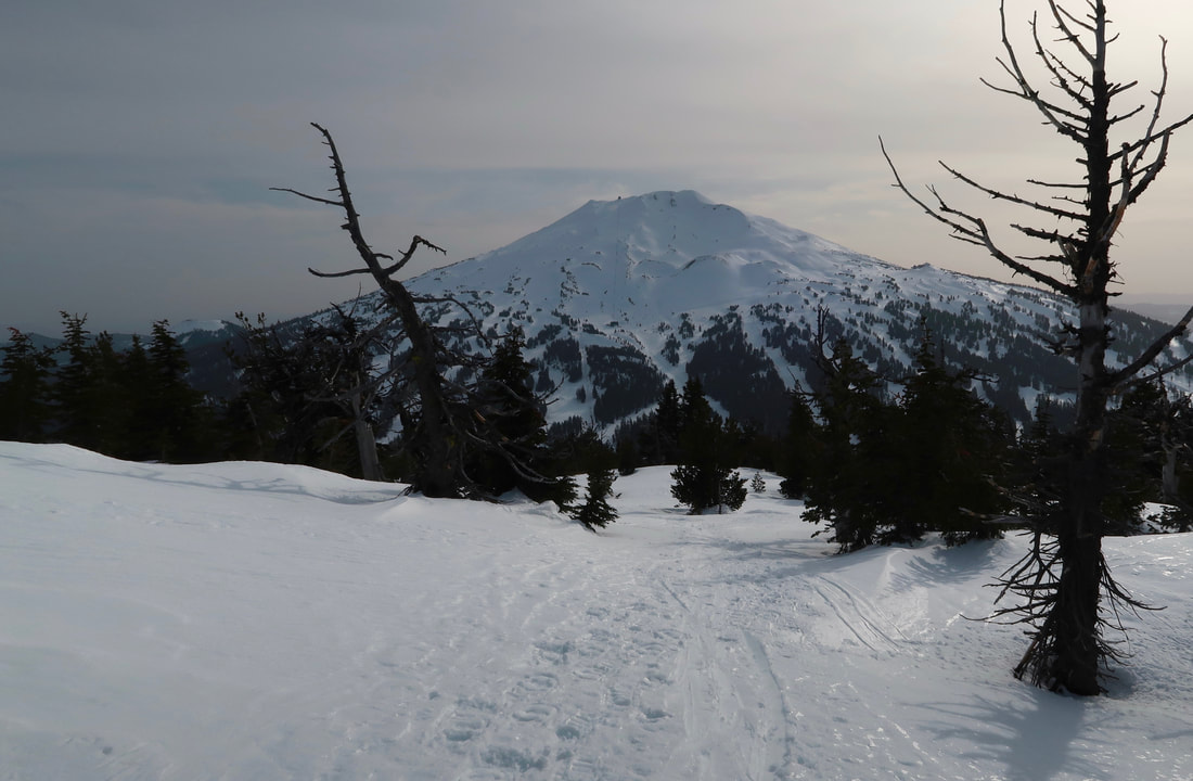 Mount Bachelor from Tumalo Mountain in the winter