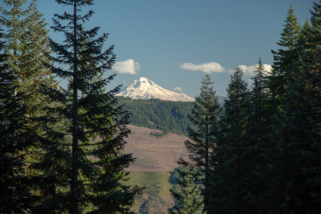 Mt. Hood from Table Rock Trail