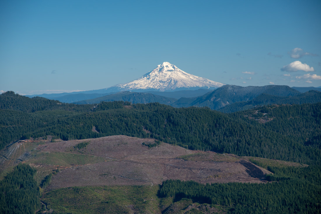 Mt. Hood from the top of Table Rock
