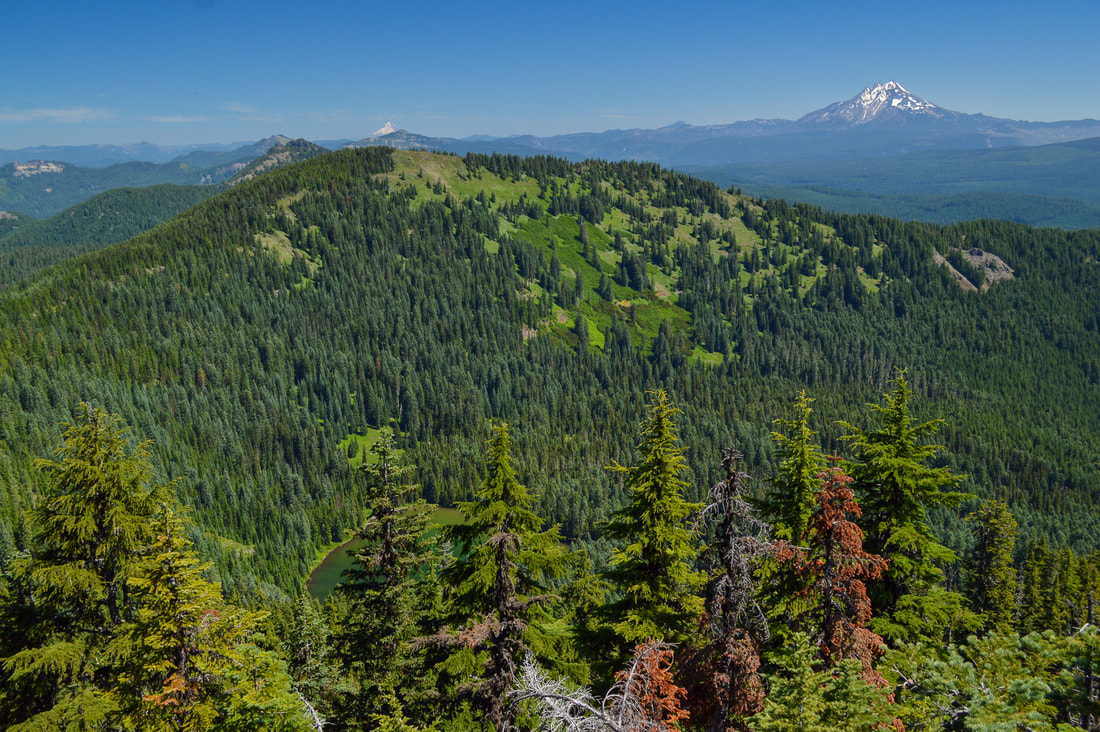 Mt. Jefferson and Mt. Hood from Crescent Mountain summit