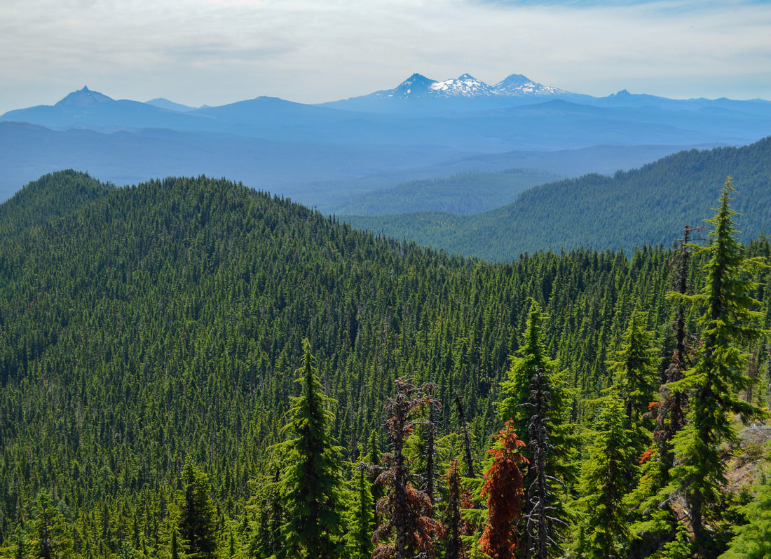 The Three Sisters from Crescent Mountain