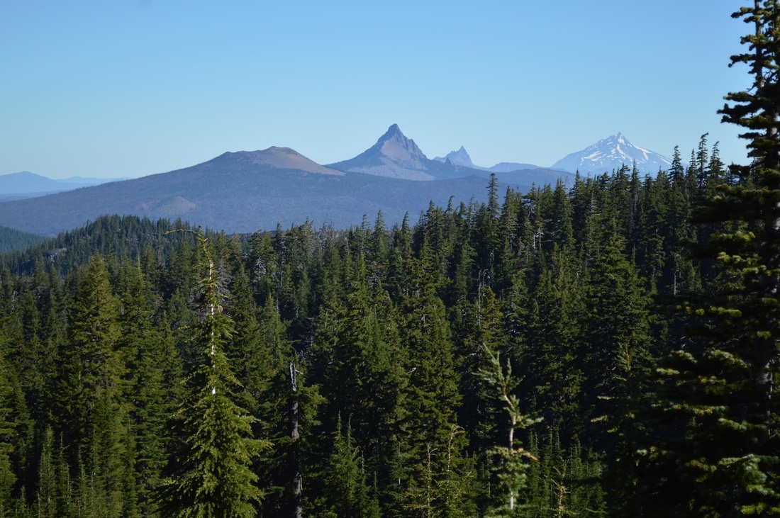 Mt. Washington, Three Finger Jack, Mt. Jefferson from the Pacific Crest Trail Oregon