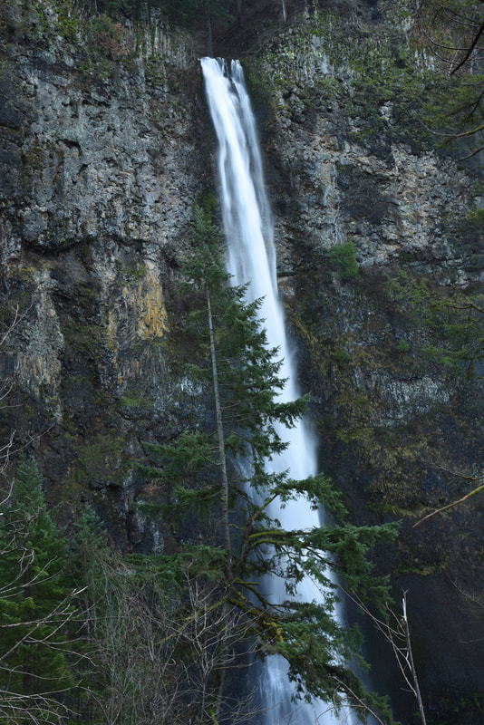 Multnomah Falls from trail