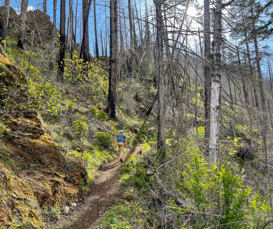 New Deception Butte Trail since wildfire