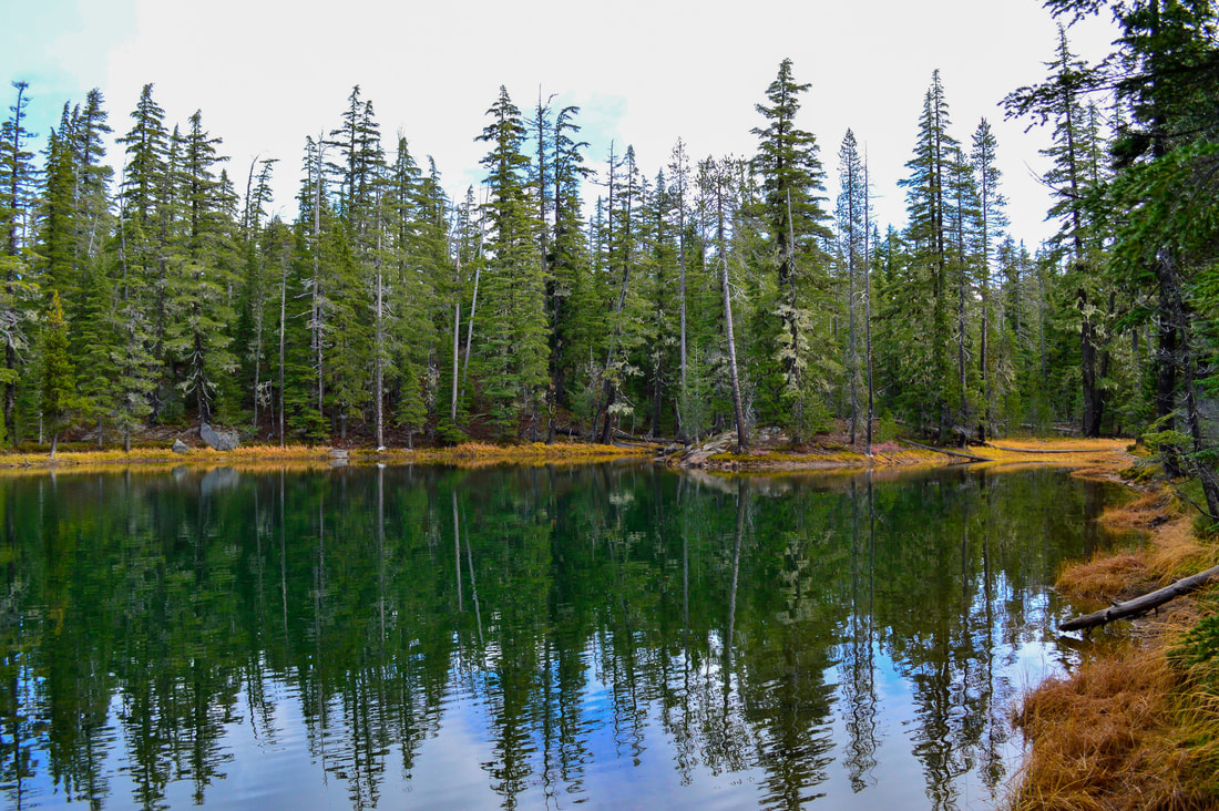 One of the ponds along the Meek Lake Trail