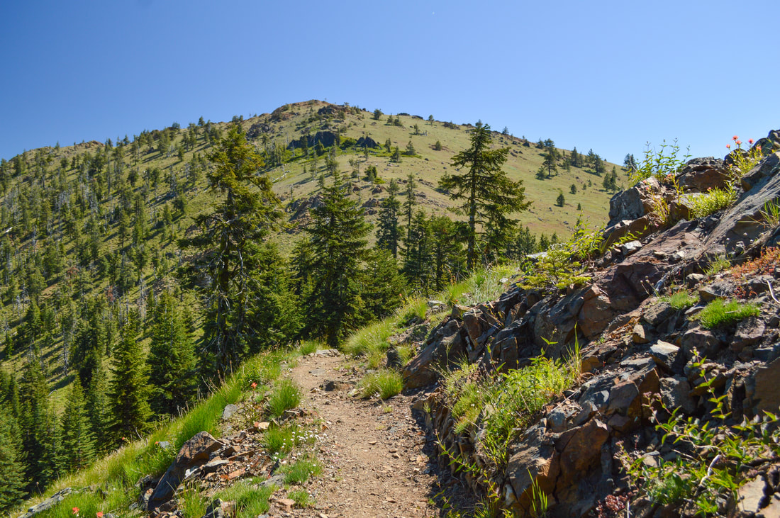 Oregon Pacific Crest Trail