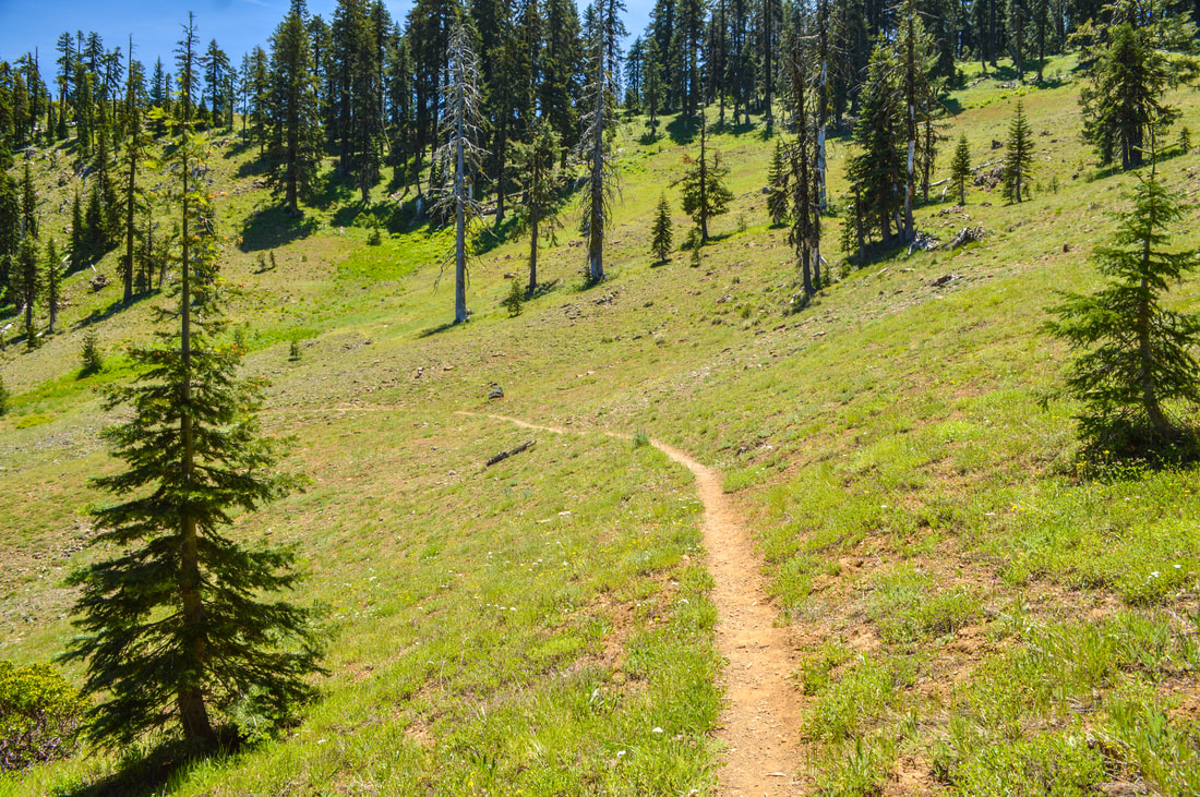 Oregon Pacific Crest Trail