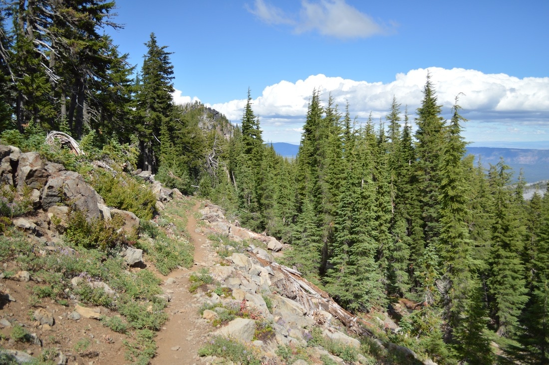 Pacific Crest Trail to Minto Pass