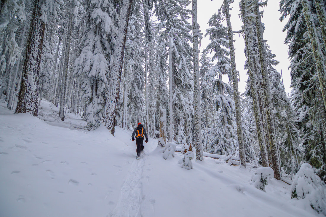 Pacific Crest Trail to Rosary Lakes in winter