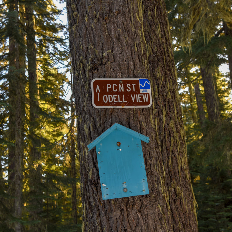 PCT Odell overlook sign Gold Lake Sno Park