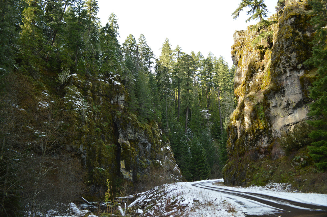 Road to Pool Creek Falls best waterfall hike in Oregon