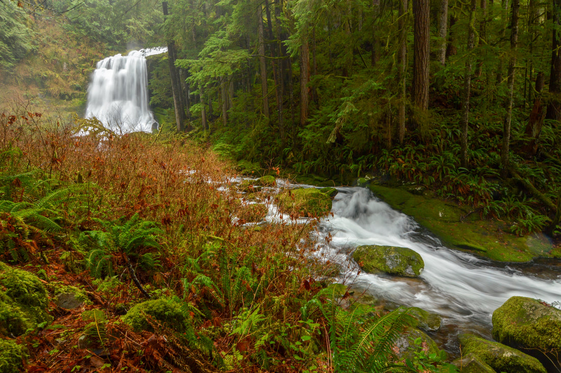Upper Kentucky Falls best Oregon waterfall hike