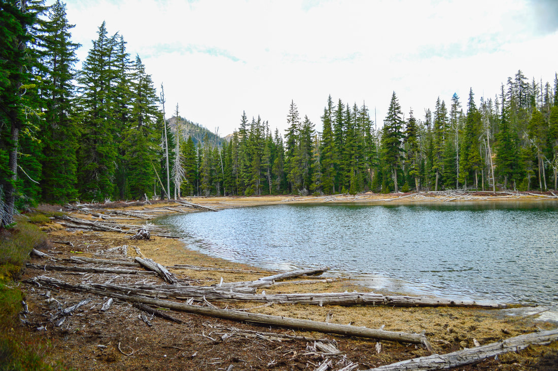 Pretty Lake trail no. 3848