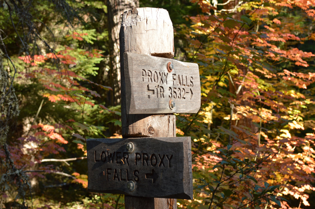 Proxy Falls trail sign