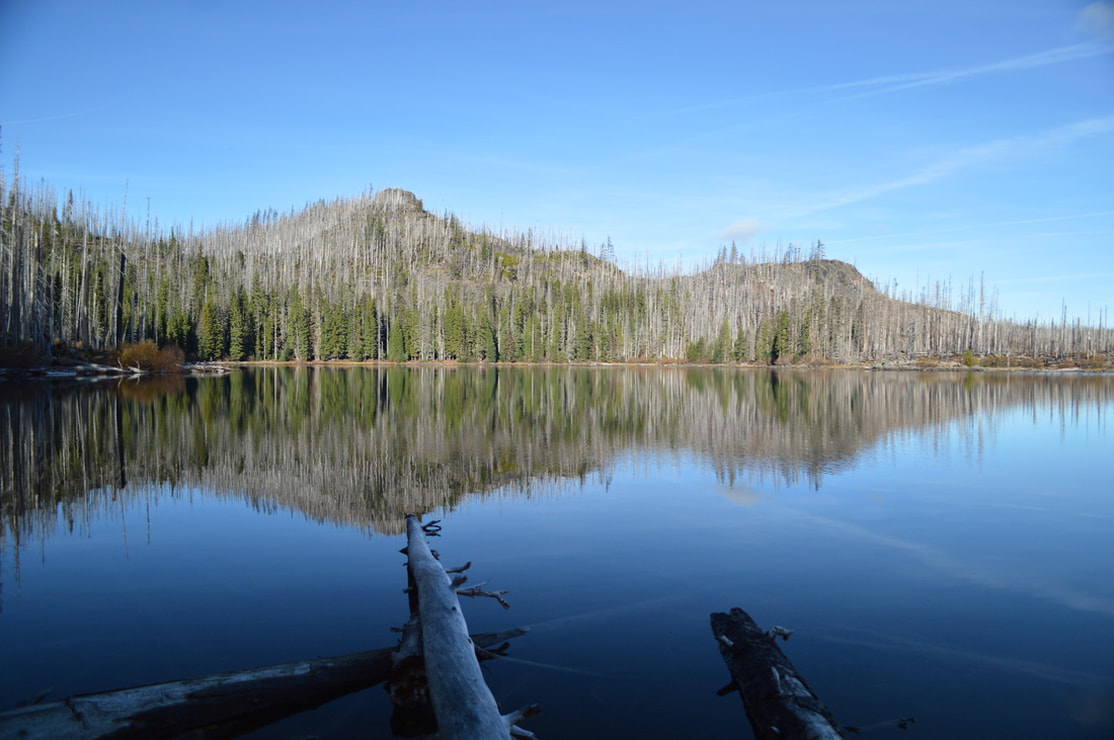 View of Wasco Lake