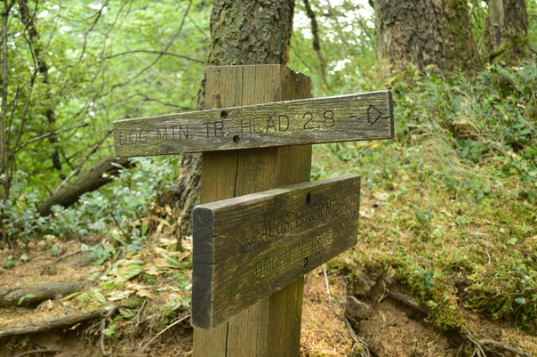 A trail sign along the Dog Mountain trail