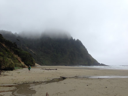 Hobbit Beach to Heceta Head, top 5 Oregon winter hikes