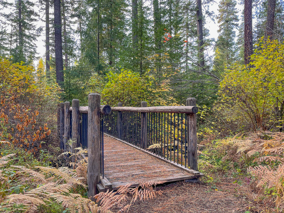 Bridge across North Fork Lake Creek Metolius Preserve