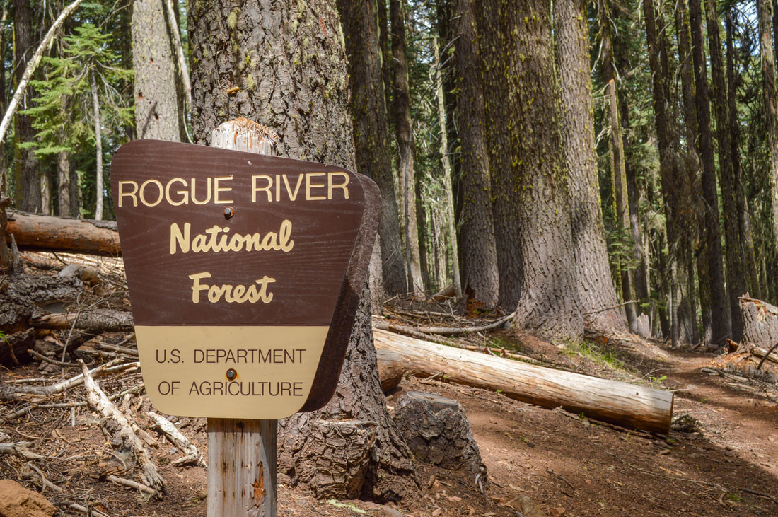 Rogue River National Forest Oregon Pacific Crest Trail