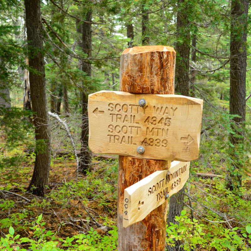 Scotty Way trail sign