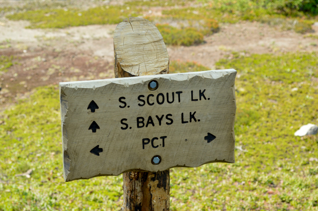 Scout and Bays Lake trail sign