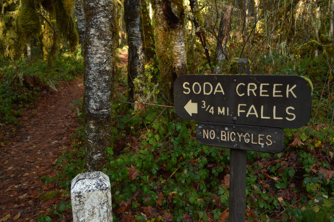 Soda Creek Falls trail best waterfall hikes in Oregon