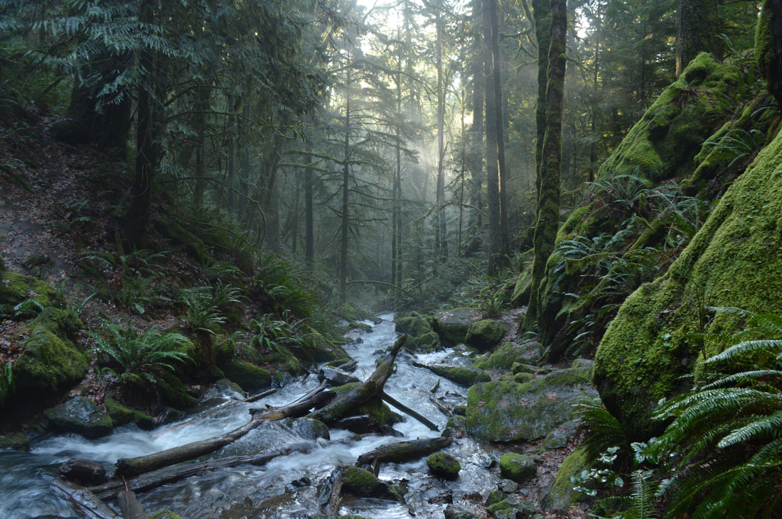 Soda Creek best waterfall hikes in Oregon