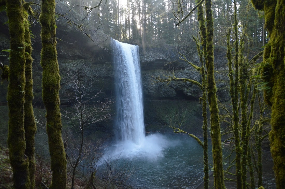 South Falls Silver Falls State Park best waterfall hike in Oregon