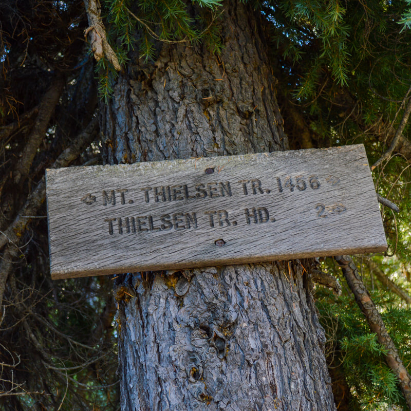 Spruce Ridge Trail junction sign
