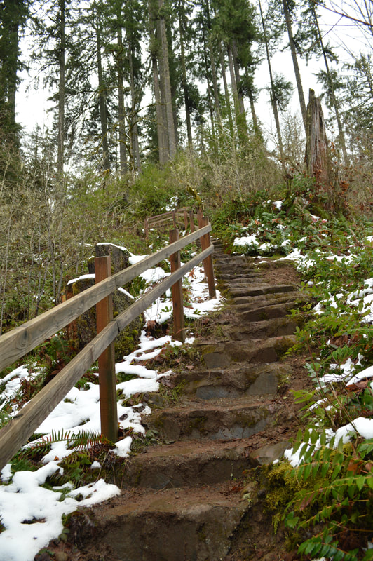 Stairs at McDowell Creek Falls recreation area