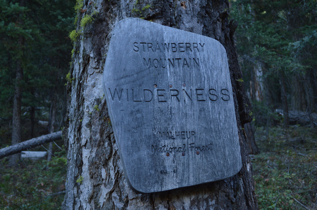 Strawberry Wilderness sign best Oregon waterfall hike