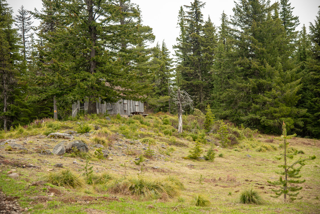 Taylor Burn cabin in meadow