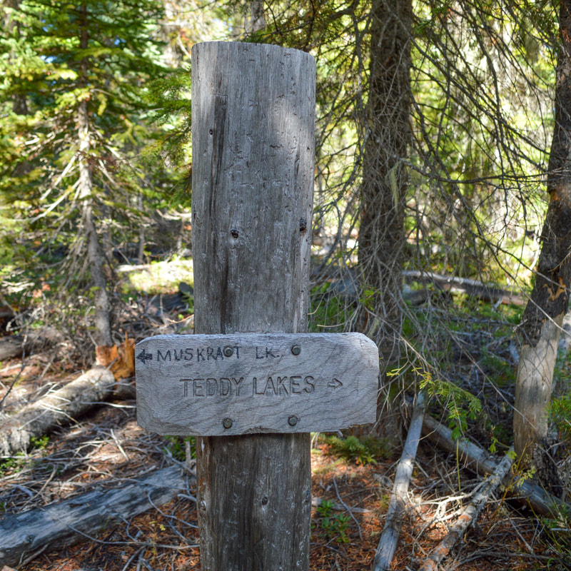 Teddy Lakes trail sign