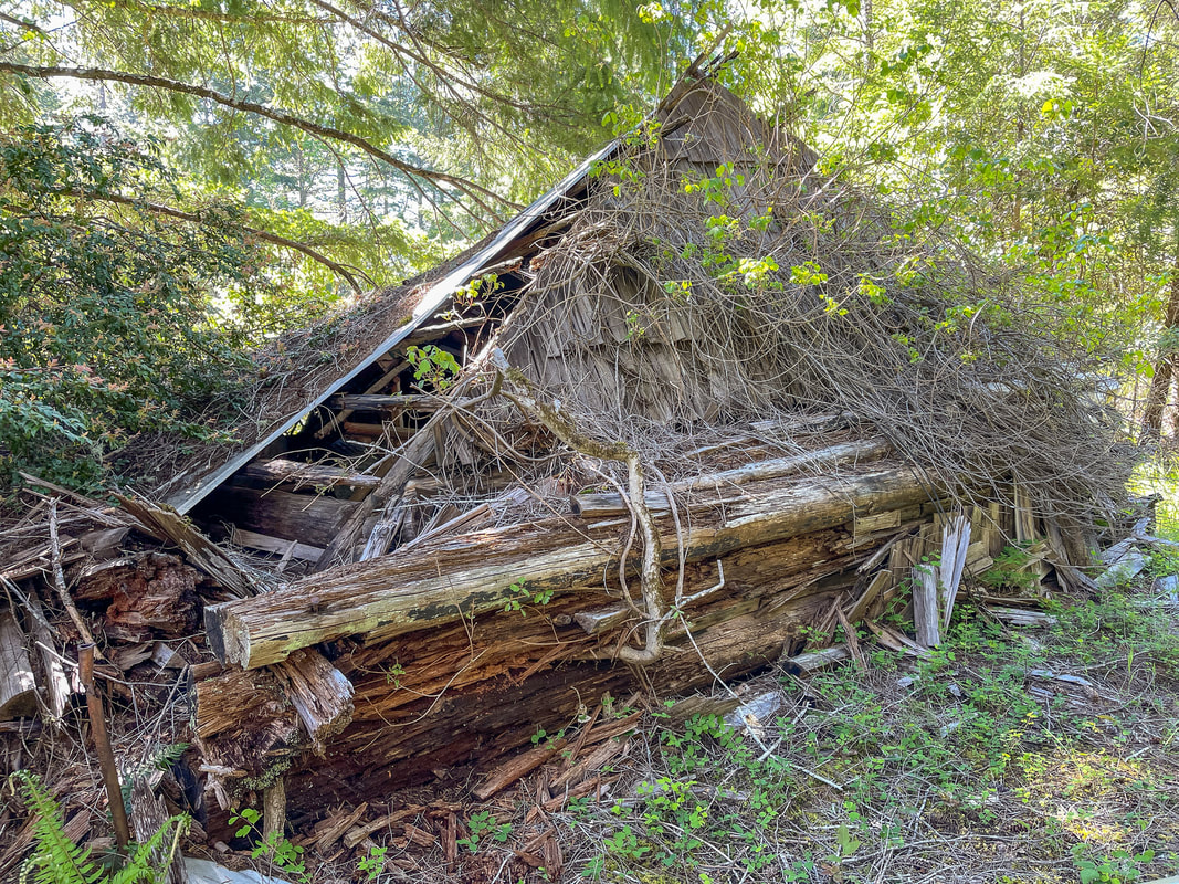 Thomas homestead cabin remnants