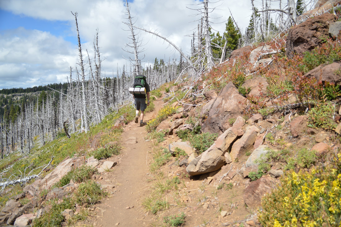 Three Fingered Jack Loop PCT section