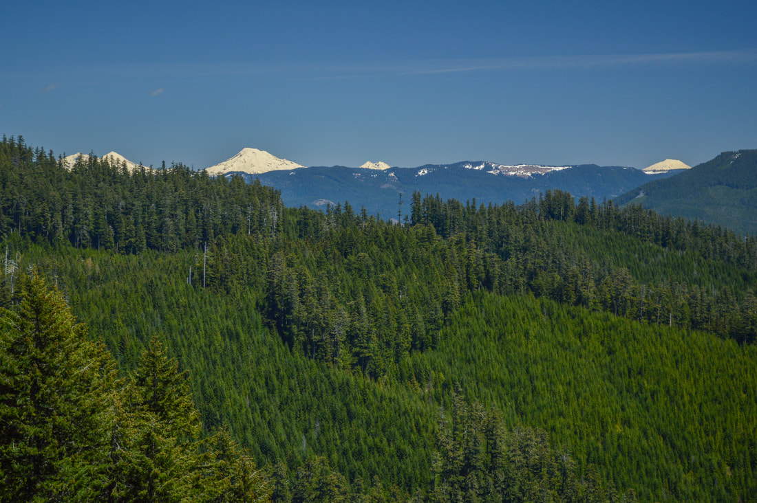 Three Sisters from Tire Mountain Trail