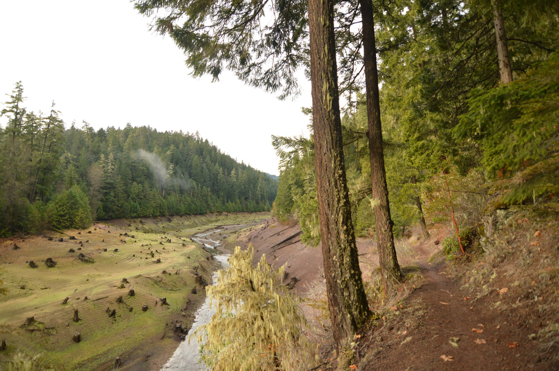 Top Winter Hike in Oregon Larison Creek Trail