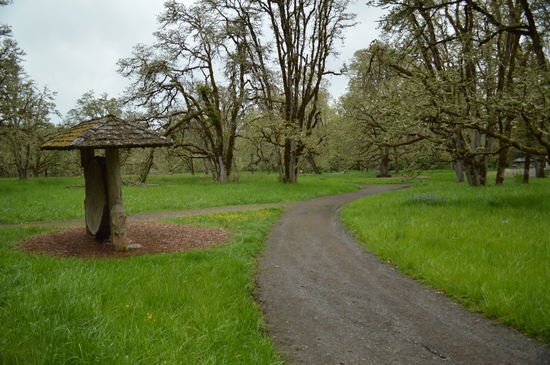 trail through the Oak savannah at Mt. Pisgah Arboretum