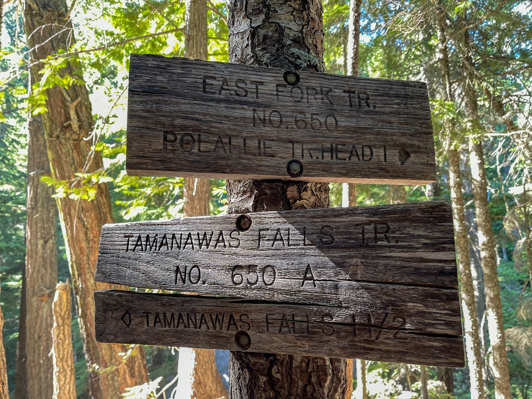 trail sign for Tamanawas Falls